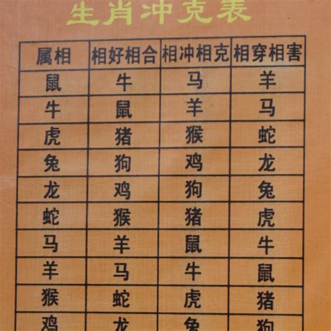 生肖對衝|【生肖衝合】生肖相沖相合一覽表：化解犯沖、招引貴人好運滾滾。